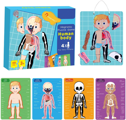 Un bon prix. 48 pièces Magnétique éducatif corps humain Jigsaw Puzzle Jouets Pour 3 ans enfant en bas âge en ligne